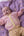 Baby + Children's Contrast-Trim Cashmere Cardigan with Bow Motif, Marshmallow + Lemon