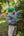 Children's Cashmere Beanie, Fern with Riviera Pom-Pom
